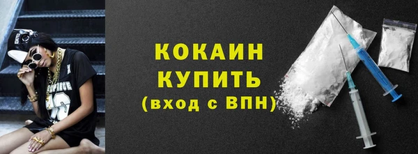 mdpv Вяземский