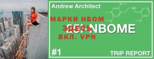mdpv Вяземский