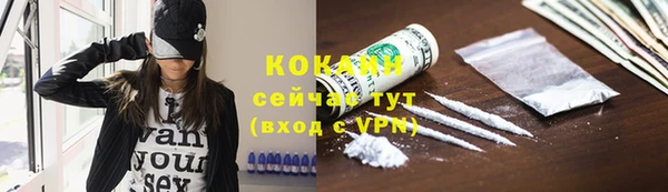 mdpv Вяземский