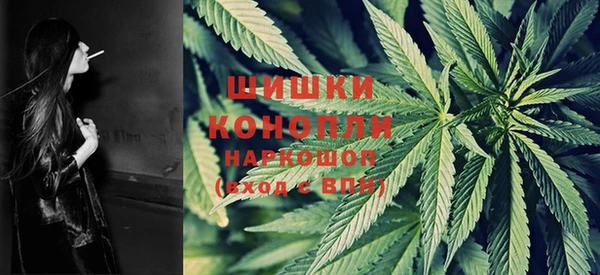 mdpv Вяземский